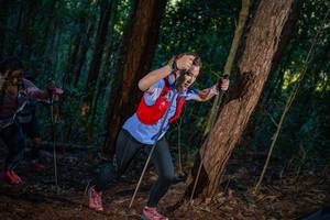 BIB: 
                            <button type="button" onclick="openModal(19213060)" class="btn btn-primary btn-sm float-right btn-popup" data-toggle="modal" data-target=".modal-high-quality">
                        <i class="fas fa-shopping-cart"></i> Add to Cart
                    </button>
                                            <button type="button" onclick="isThisMe(19213060, true)" class="btn btn-success btn-sm float-right btn-popup btn-isme hidden" data-toggle="tooltip" data-placement="bottom" title="นี่คือรูปของคุณใช่ไหม คลิกที่นี่เพื่อเอาเข้าอัลบั้ม">
                        <i class="fas fa-plus"></i> Add to album
                    </button>
                    <button type="button" onclick="isThisMe(19213060, false)" class="btn btn-warning btn-sm float-right btn-popup btn-isnotme hidden">
                        <i class="fas fa-ban"></i> Remove from album
                    </button>